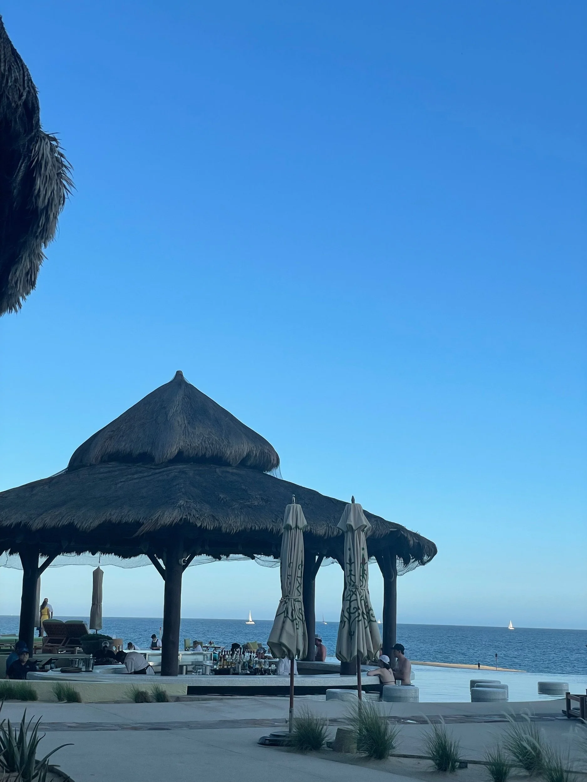 IMG_1465.jpeg