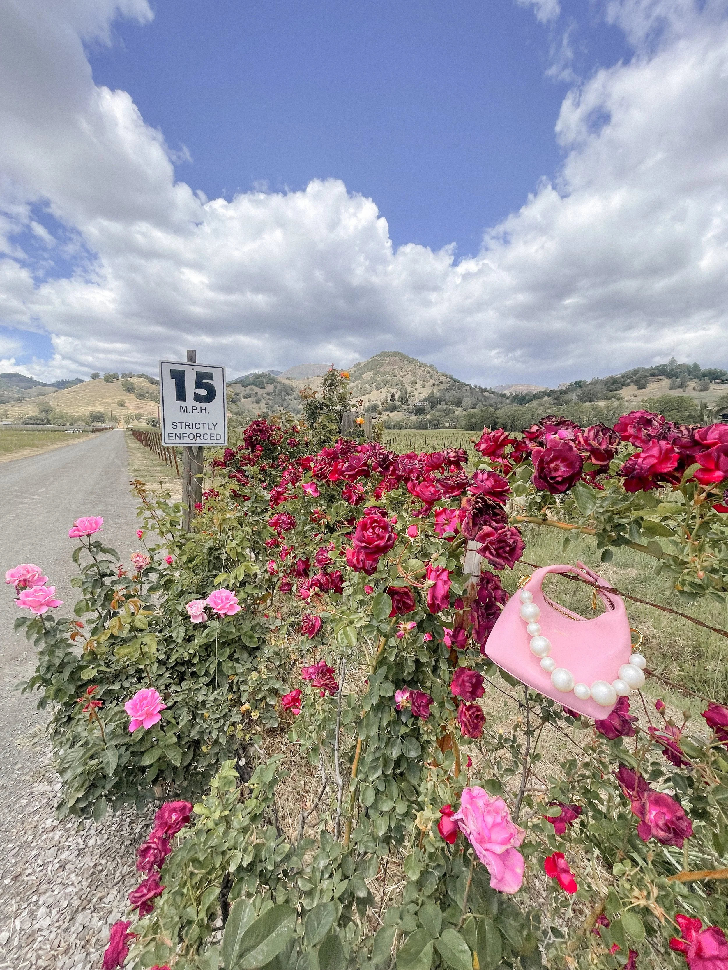 Girls Guide to Wine Country