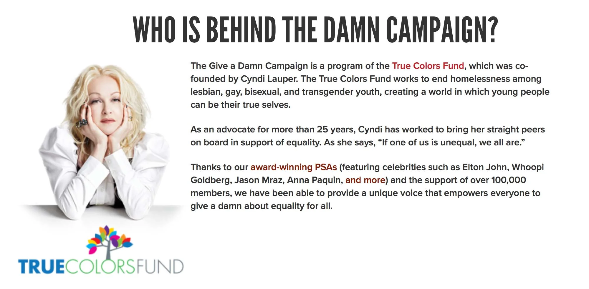 With Red Thread Productions , Jeff led the editorial build of dozens of celebrity-laden PSAs for Cyndi Lauper's non-profit the True Colors Fund . He also worked with the program's Executive Director to film a series of intimate fund-raising performances by a variety of pop and broadway artists, including Cyndi and Jason Mraz.