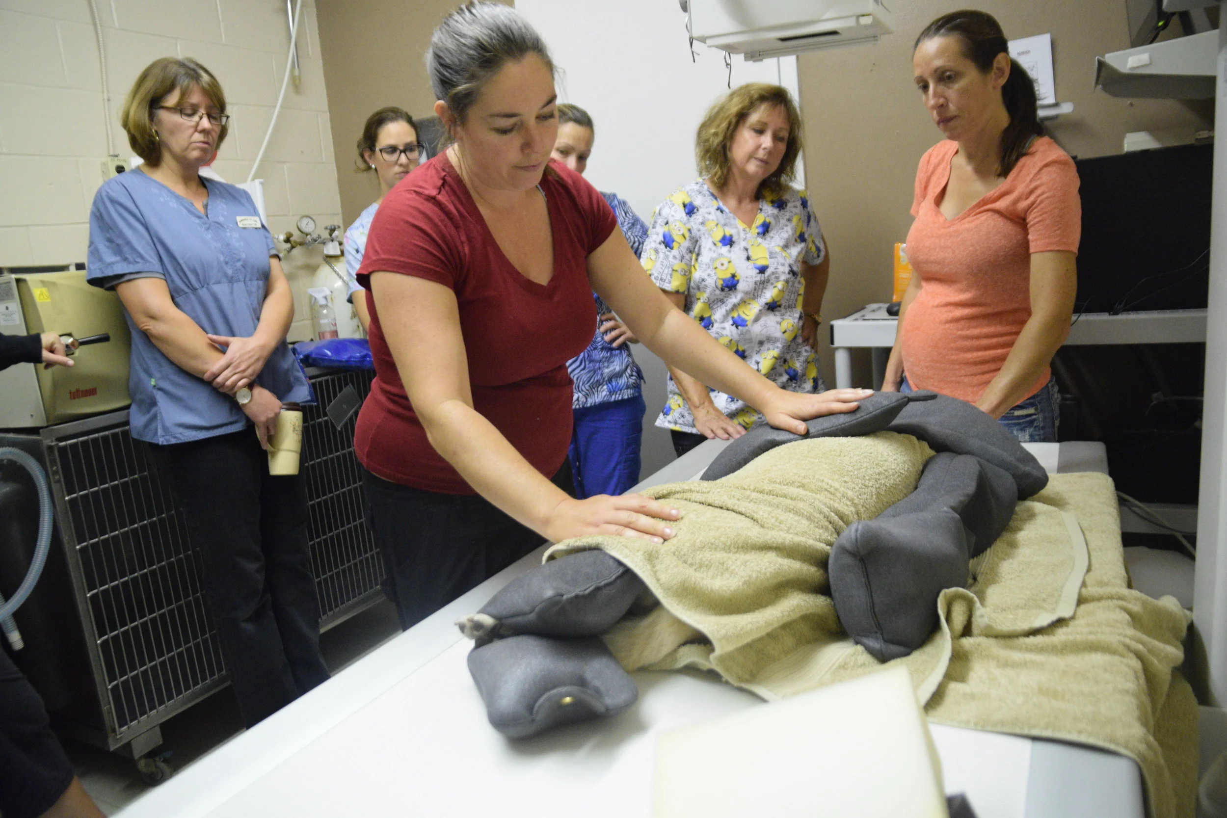 On-Site Training (Georgian College - Orillia)
