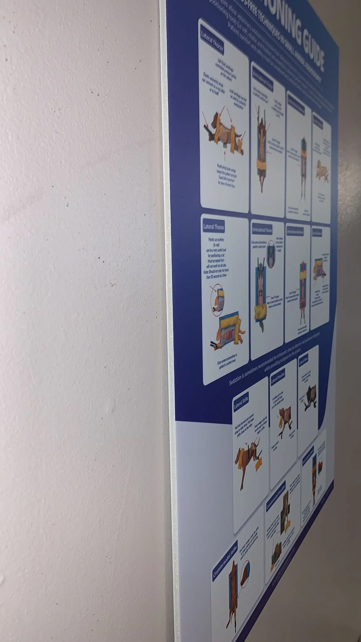 WhatsApp Image 2023-05-01 at 8.51.33 PM.jpeg