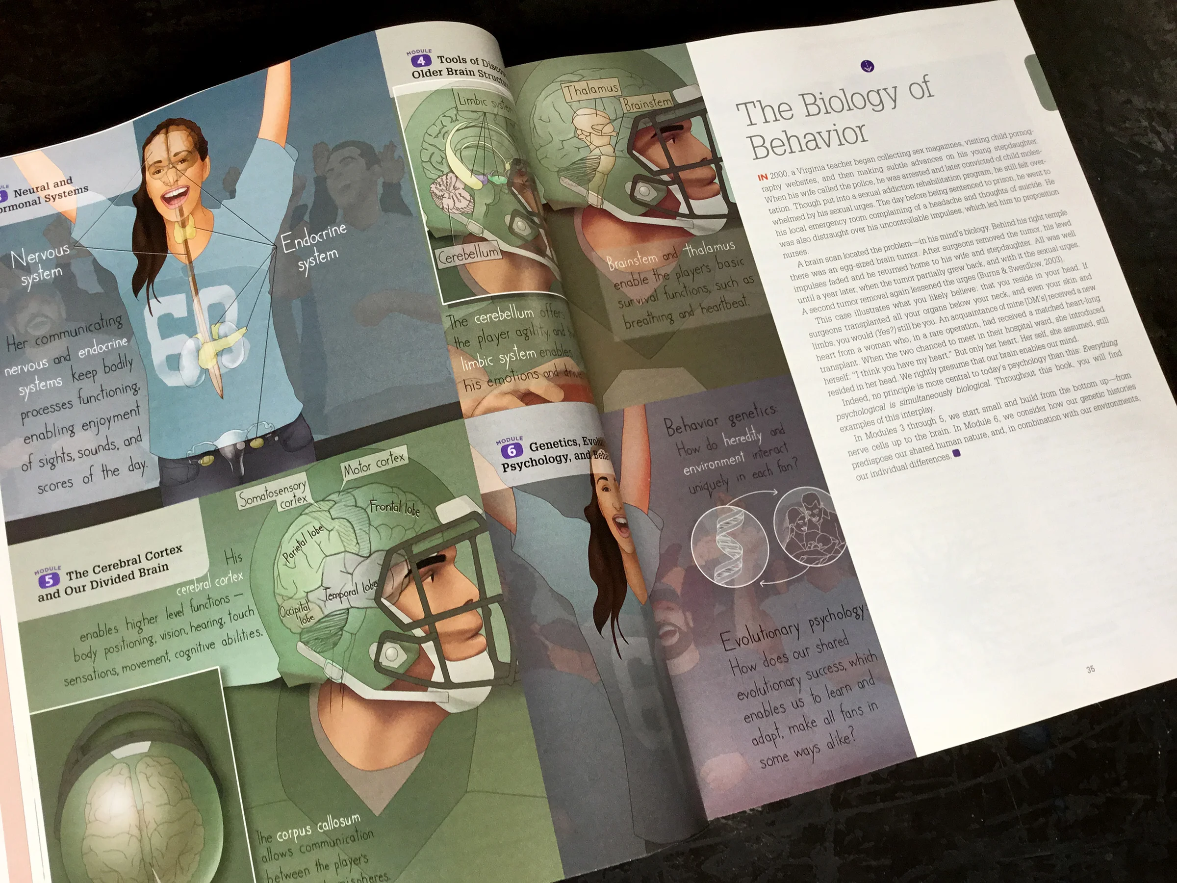 Page layout, Evelyn Pence for ©macmillian