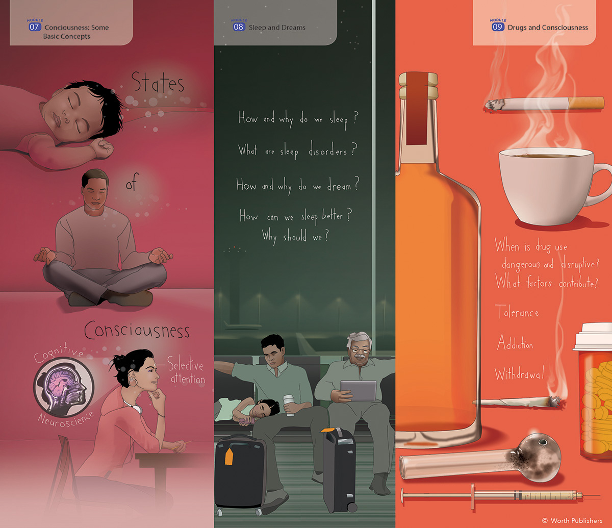 Illustrations by Evelyn Pence for ©macmillian