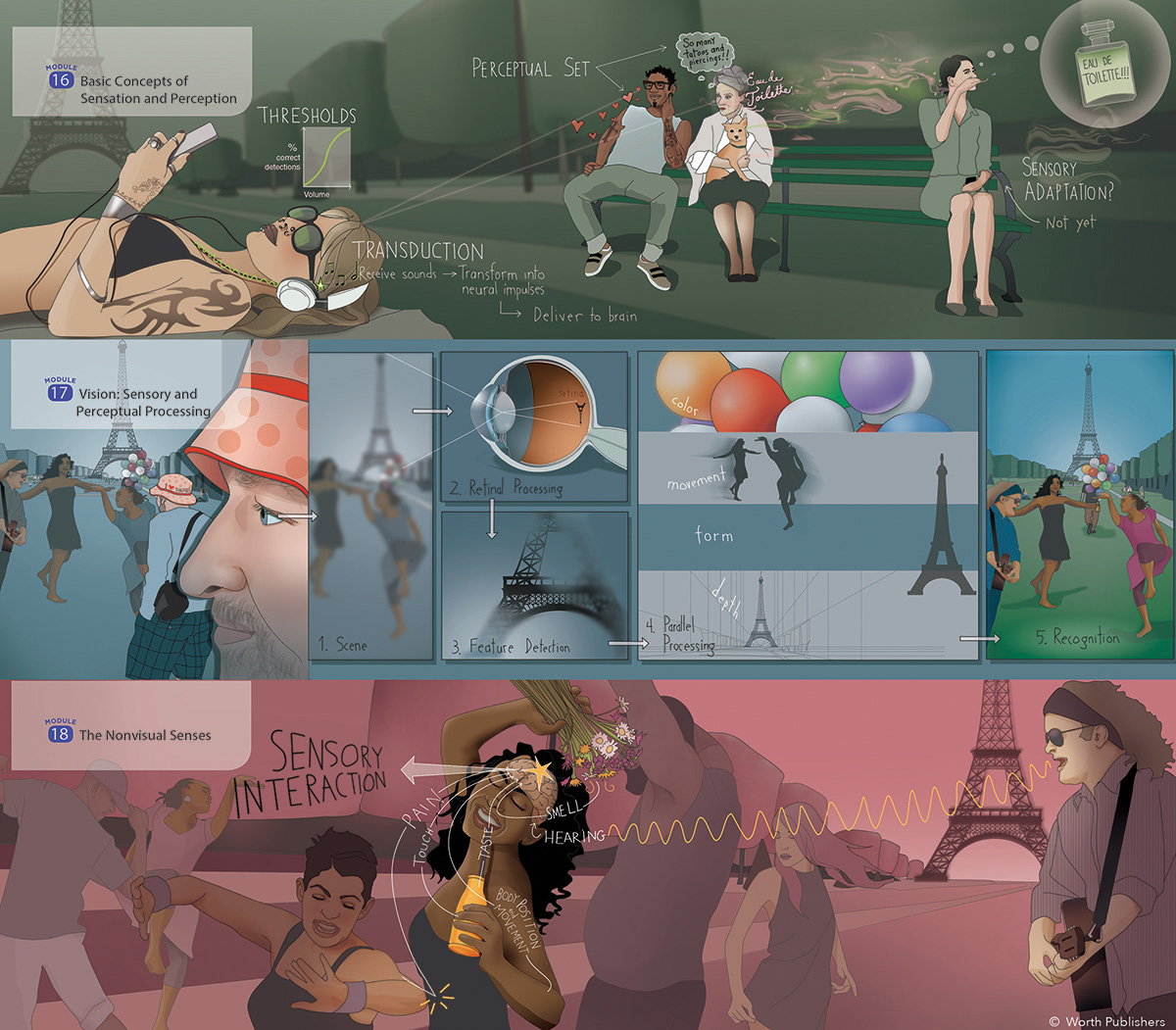 Illustrations by Evelyn Pence for ©macmillian