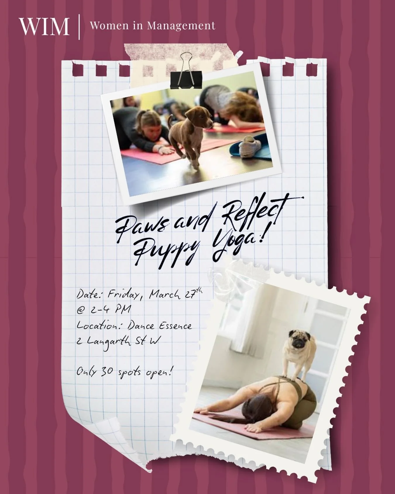 We&rsquo;re so excited to invite you to our final mentorship event of the year: Puppy Yoga!

To celebrate and wrap up the year together, we&rsquo;ll be hosting a special puppy yoga session featuring adorable corgi puppies. It&rsquo;s the perfect chan