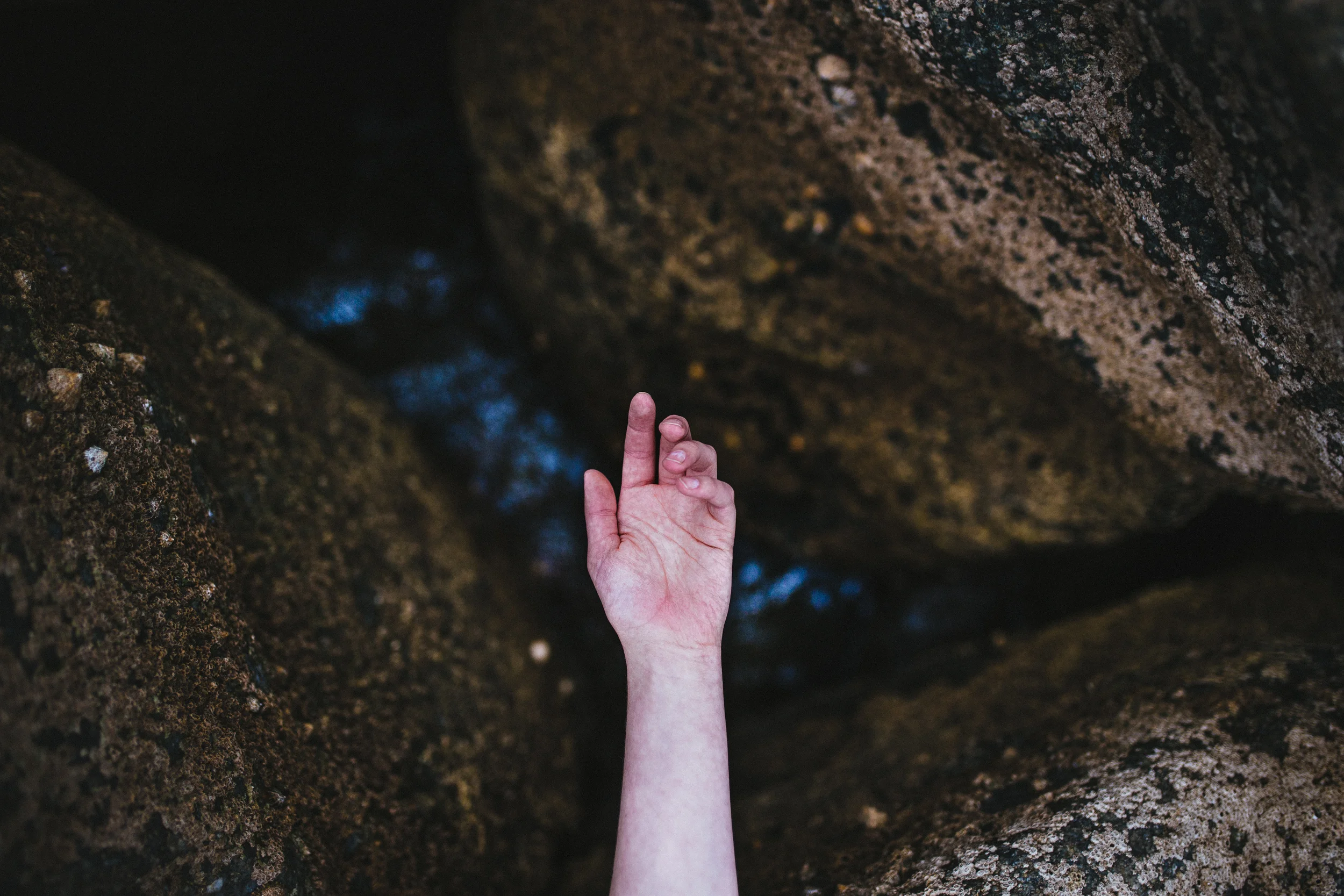 Photo by Felix Russell-Saw