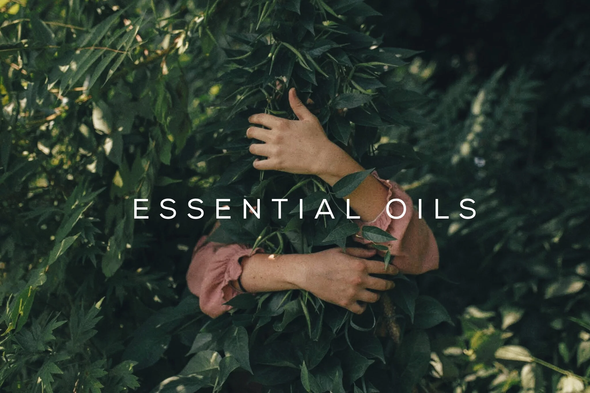 essential_oils_hero.jpg