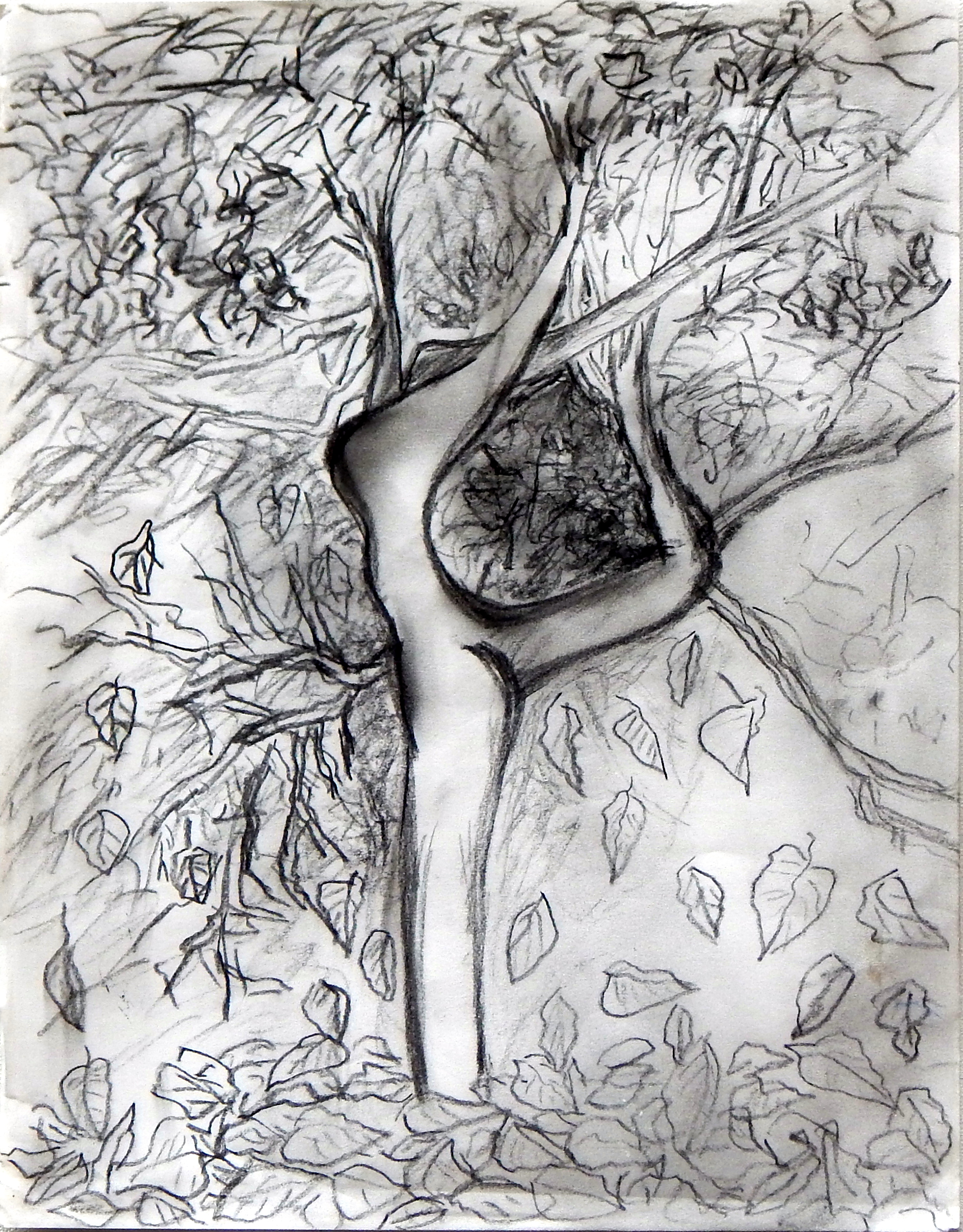 Tree, pencil and charcoal, 2012