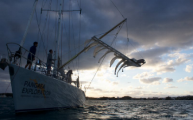 Pangaea exploration trawl &amp; document floating debris