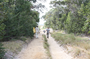 马达加斯加圣吕斯利托罗尔森林
