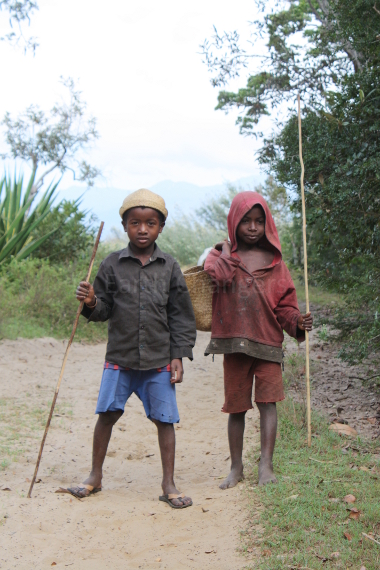 马达加斯加圣吕斯海滨森林的男孩们