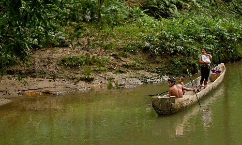 TRopic支持当地人民，本土文化&亚马逊雨林的保护”data-load=