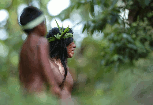 热带与华奥拉尼土著亚马逊部落发展了联合旅游”data-load=