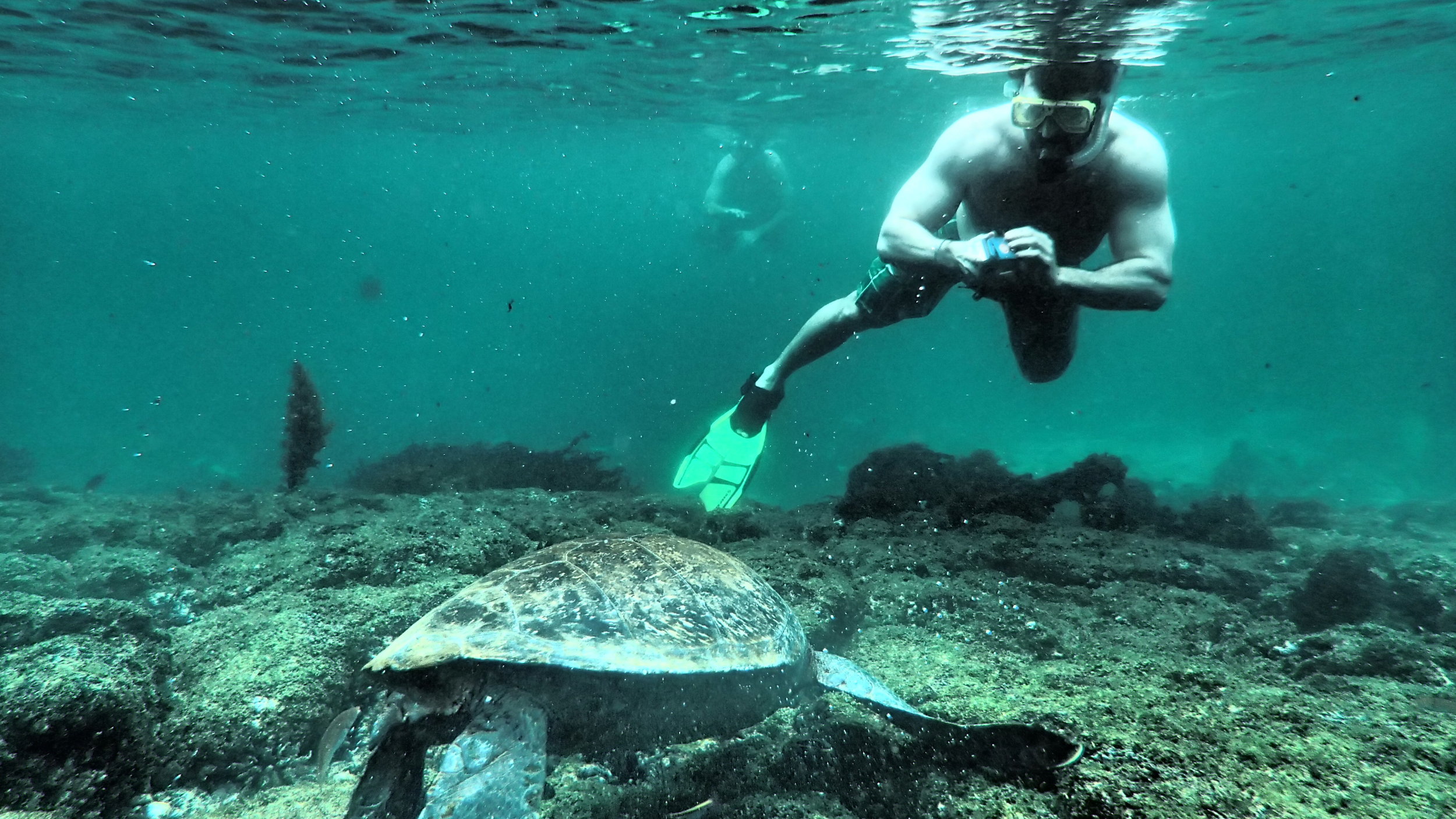 The Galapagos Islands snorkel