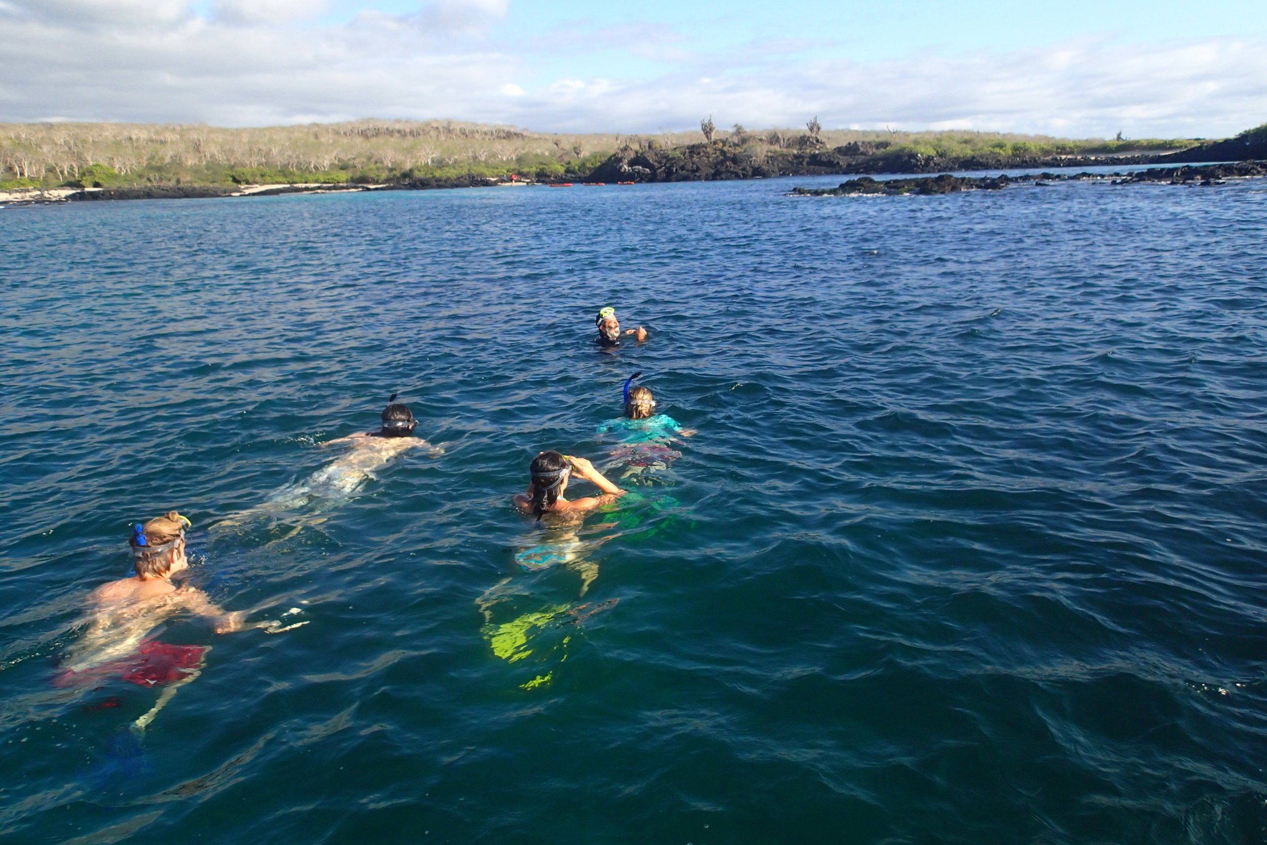 Galapagos Floreana Tropic Snorkel P5270581.JPG