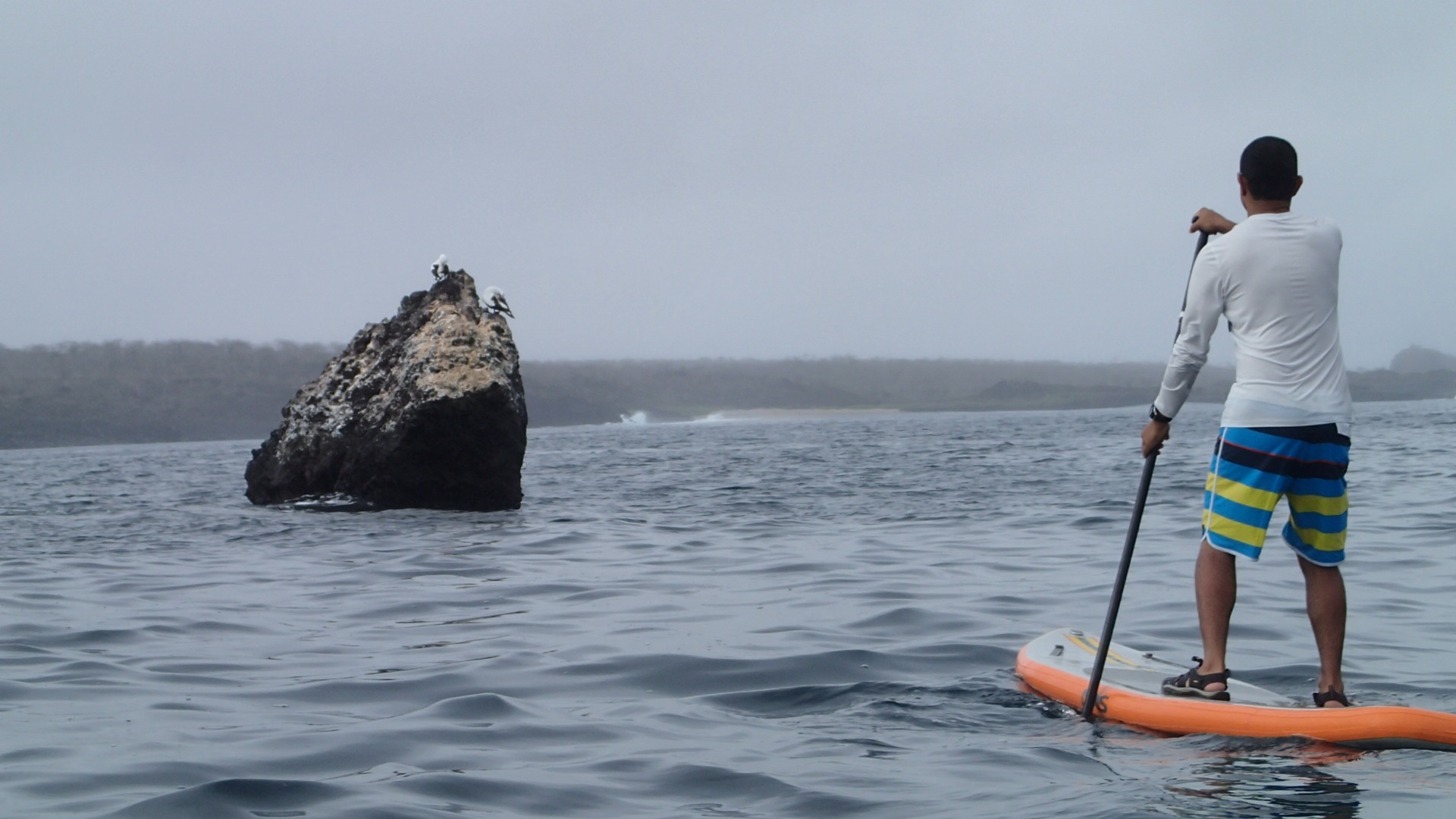 Galapagos Floreana Tropic SUP Paddleboard P9130014.jpg