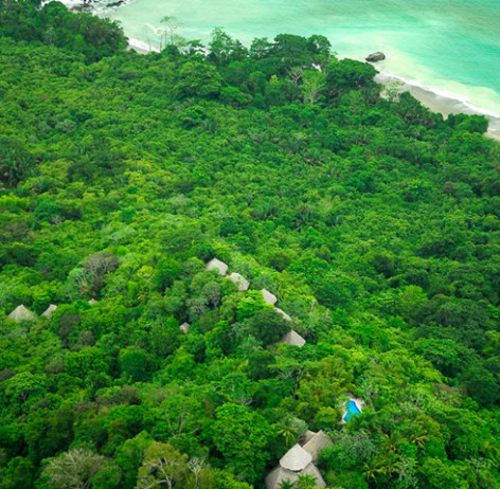 拉帕里奥斯位于哥斯达黎加西海岸的原始雨林中
