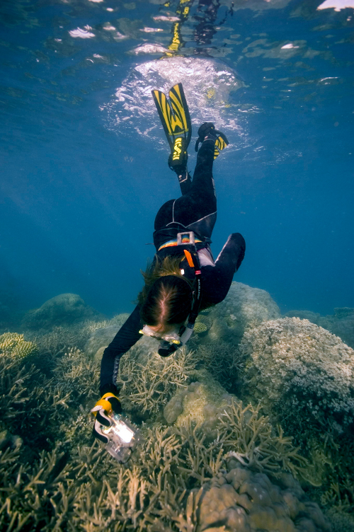 ChuMbe islAND CORAL PARK, TANZANIA: Scientific Research