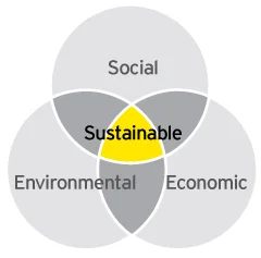 La tripla linea di fondo. Credito: Ey.com