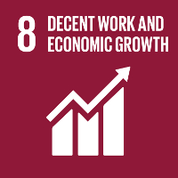 可持续发展目标8体面工作;经济增长