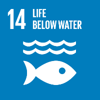SDG14水下生命