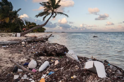 Pangaea Exploration - Plastic Pollution: poverty affects environment &amp; health