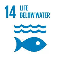 sustainable development goals #14 Life Below Water #SDGs