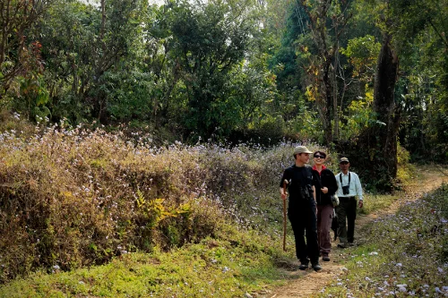 Copy of Tiger Mountain Pokhara Lodge Walk