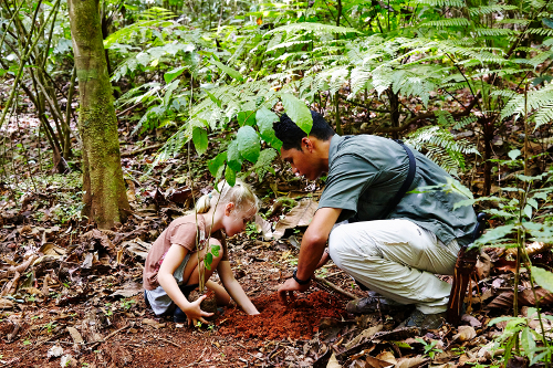 在哥斯达黎加拉帕里奥斯，和孩子们一起指导植树＂data-load=