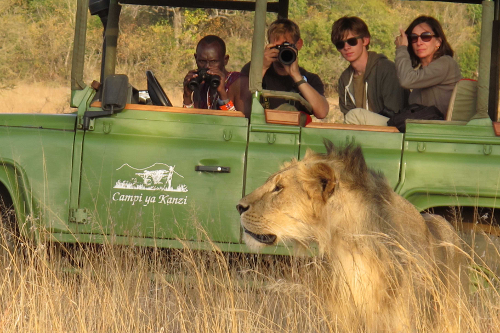 狮子-辛巴游猎，坎皮亚坎齐，肯尼亚＂data-load=