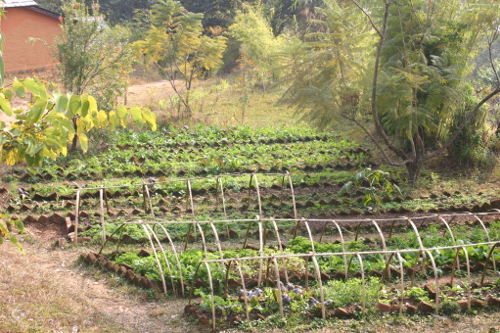 自制的草药，沙拉和传统尼泊尔费耶的蔬菜