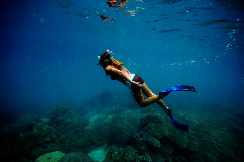 浮潜是世界上第一个私人海洋保护区