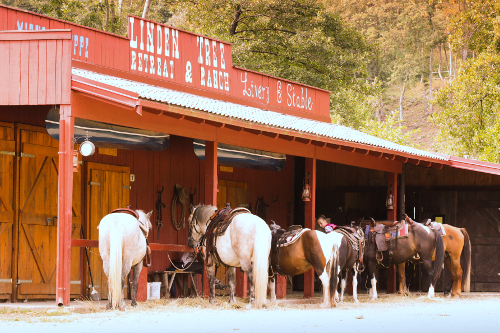 Linden Tree Retreat & Ranch Barn