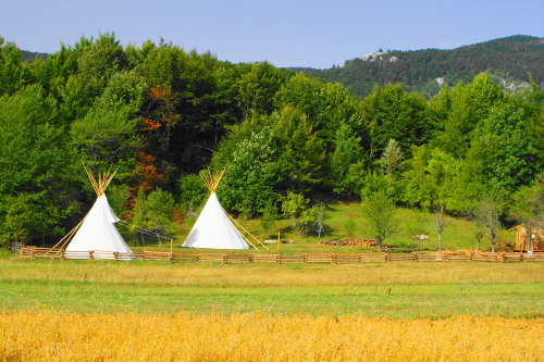 Linden Tree Retreat & Ranch Tipiji