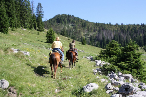 Linden-Tree-Retreat-Ranch-Croatia-horse-ride-day-11-IMG_5181-500x333.jpg