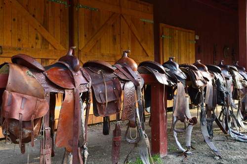 Linden-Tree-Retreat-Ranch-Croatia-Barn-saddles-DSC_0236-500x333.jpg