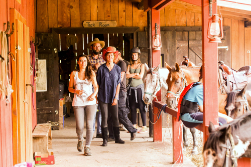 Linden Tree Retreat & Ranch Barn