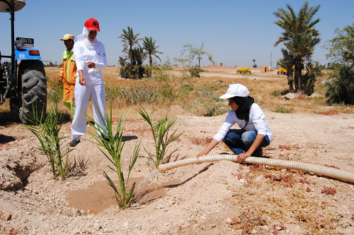 Education For All - Tree Planting