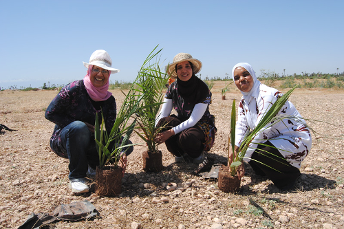 Education For All - Tree Planting