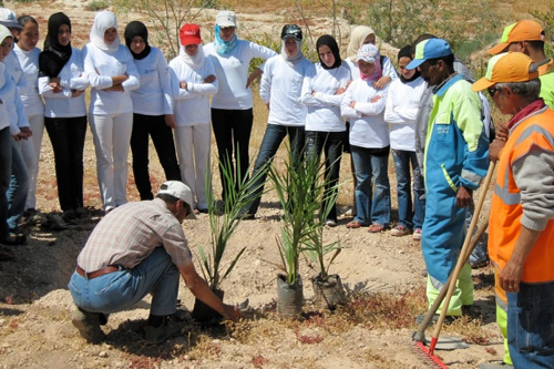 Education for All - tree planting Morocco