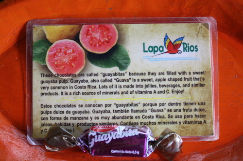当地的巧克力礼物和解释，哥斯达黎加