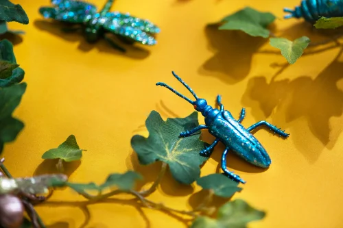 rawpixel-653778-plastic-fake-bugs-unsplash-500x333.jpg
