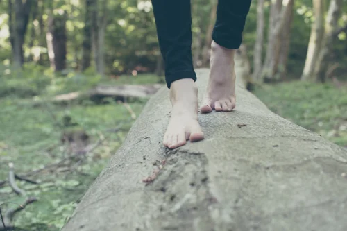michal-parzuchowski-682447-bare-foot-tree-unsplash-500x333.jpg
