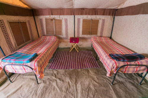 印度村庄方式Jaikuni帐篷营地-