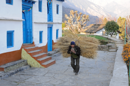 India Village Ways - Carrying Grass, Supi