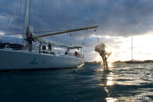 泛大陆——探索——oceancleanup_3799 - 500 x333.jpg