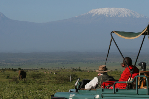  Elephants on game drive by Kilimanjaro 