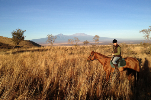  Horseride the ranch 