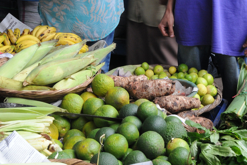尼加拉瓜，为小屋在市场上购买新鲜、有机的当地农产品