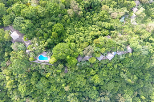 Lodge in rainforest